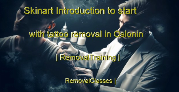 Skinart Introduction to start with tattoo removal in Oslonin | RemovalTraining | RemovalClasses | SkinartTraining-Poland